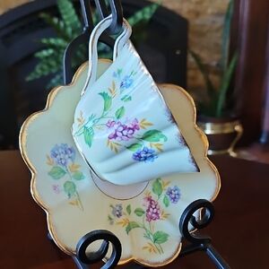 Beautiful Rosina Bone China Floral Teacup and Saucer